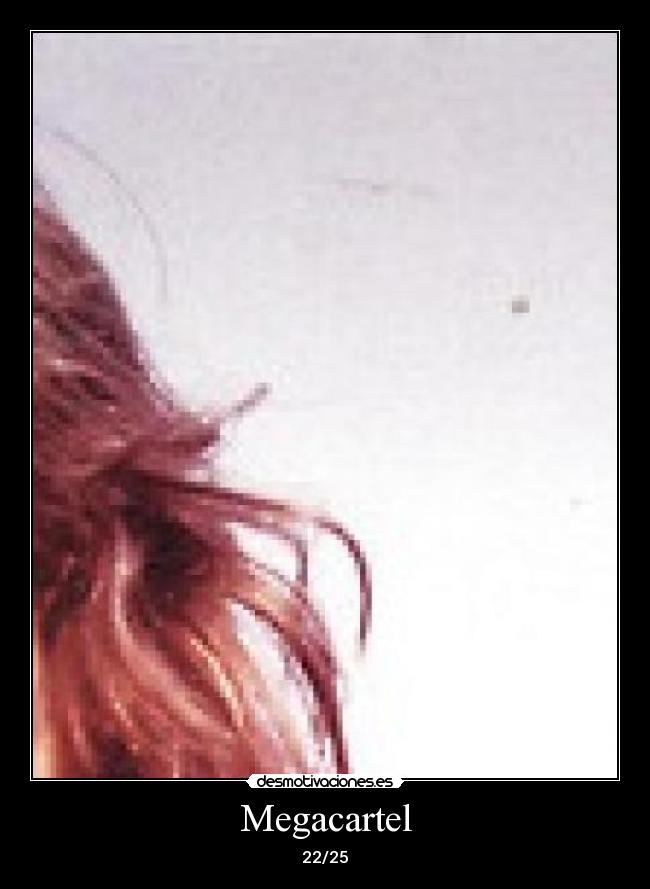 Megacartel - 22/25