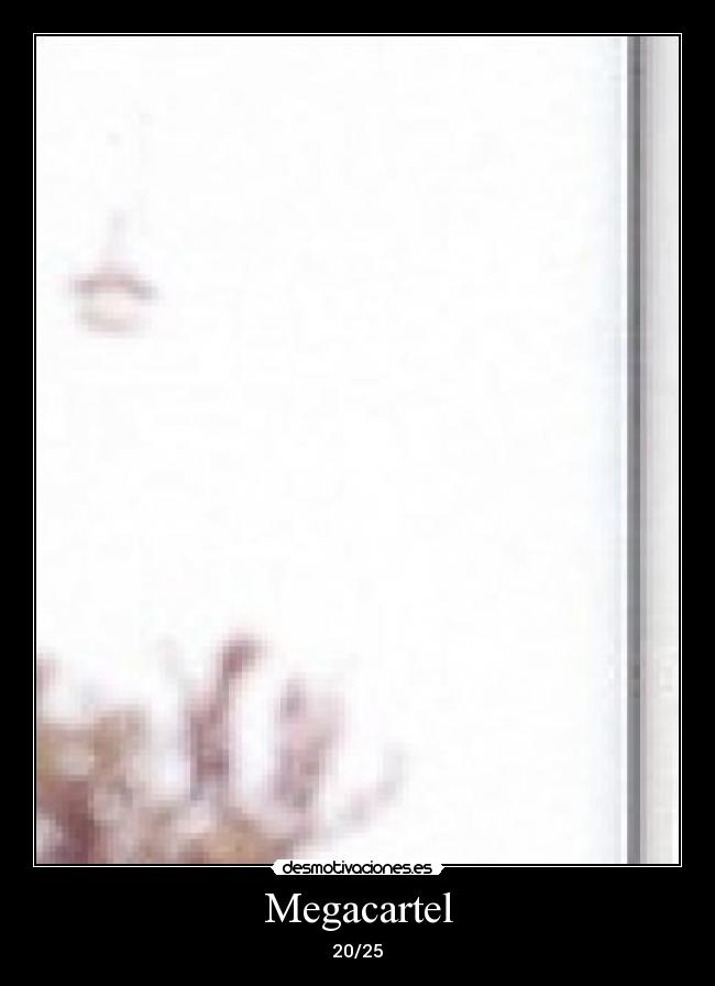 Megacartel - 20/25