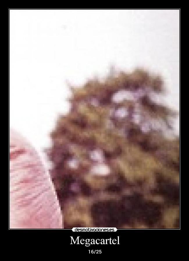 Megacartel - 16/25