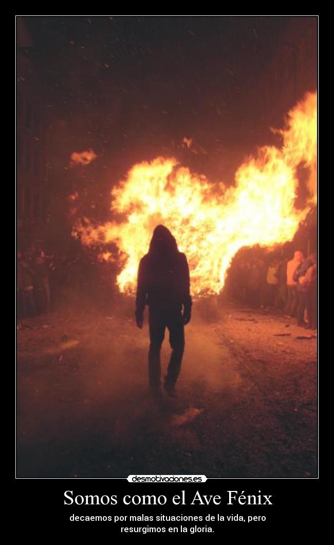 Somos como el Ave Fénix - decaemos por malas situaciones de la vida, pero
resurgimos en la gloria.