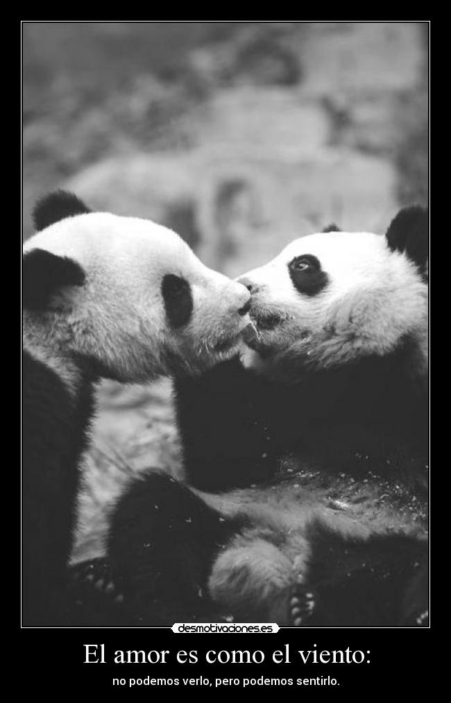 El amor es como el viento: - no podemos verlo, pero podemos sentirlo.
