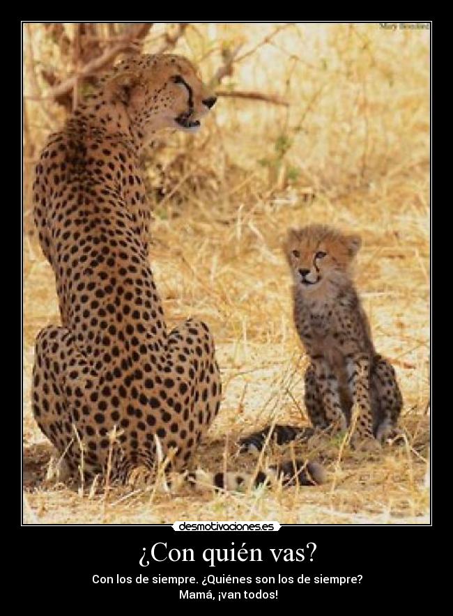 ¿Con quién vas? - Con los de siempre. ¿Quiénes son los de siempre?
Mamá, ¡van todos!