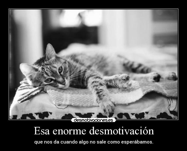 Esa enorme desmotivación - que nos da cuando algo no sale como esperábamos.