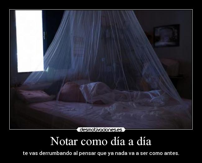Notar como día a día -