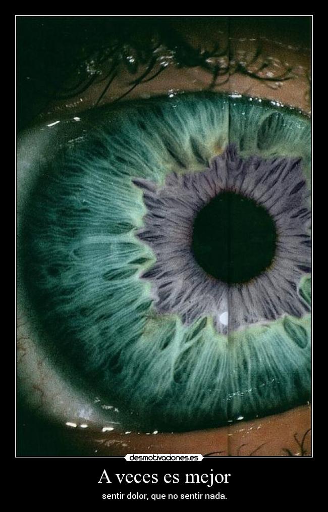 carteles pain desmotivaciones