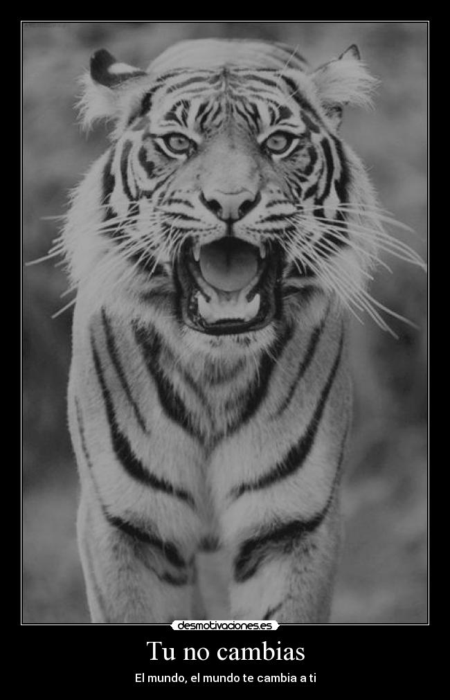 Tu no cambias - El mundo, el mundo te cambia a ti