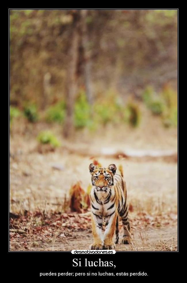 Si luchas, - puedes perder; pero si no luchas, estás perdido.