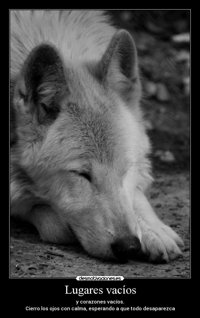 Lugares vacíos -