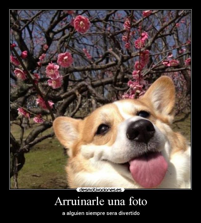 Arruinarle una foto -