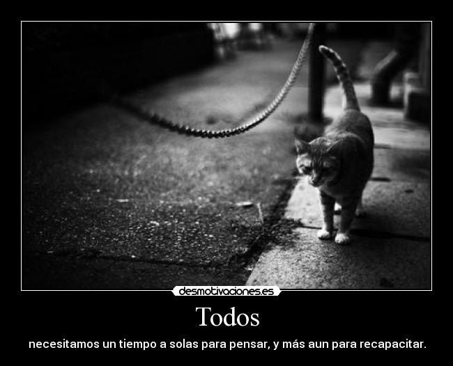 Todos - necesitamos un tiempo a solas para pensar, y más aun para recapacitar.