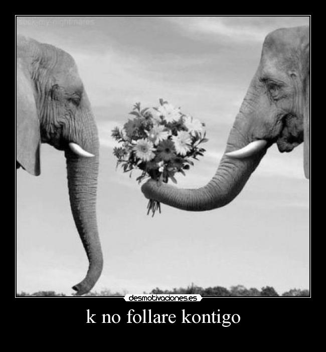 k no follare kontigo -