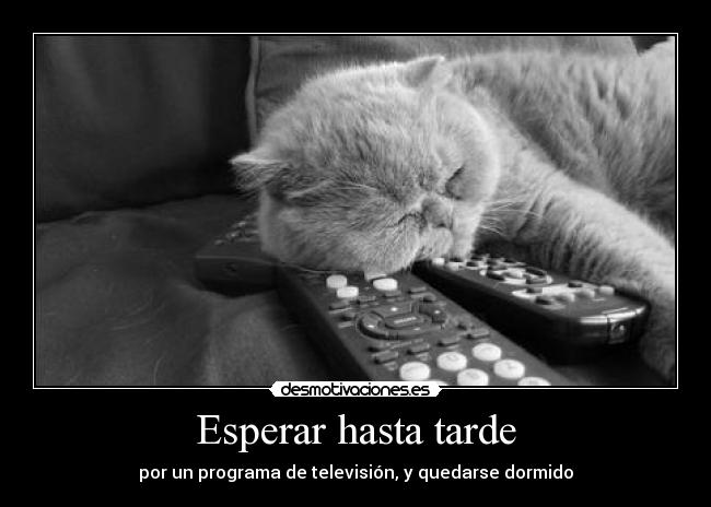 Esperar hasta tarde - por un programa de televisión, y quedarse dormido