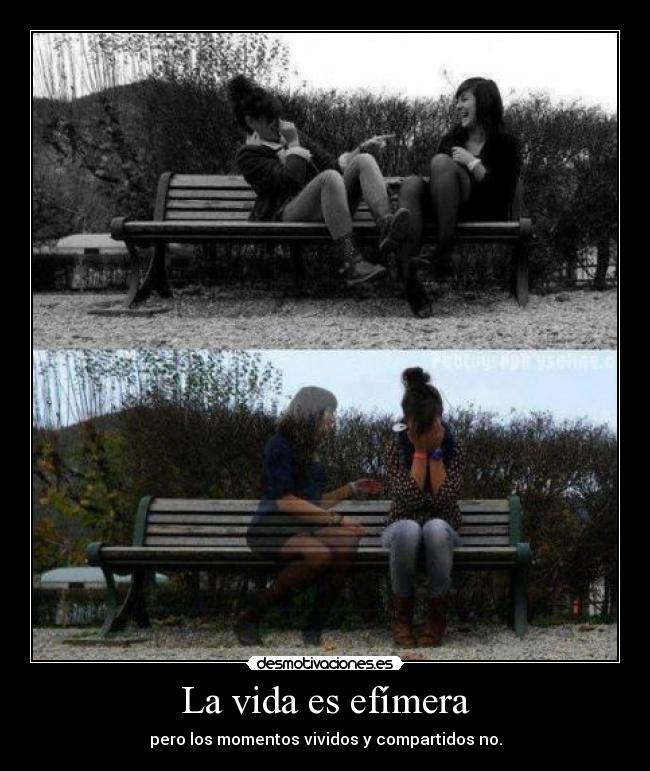 La vida es efímera -