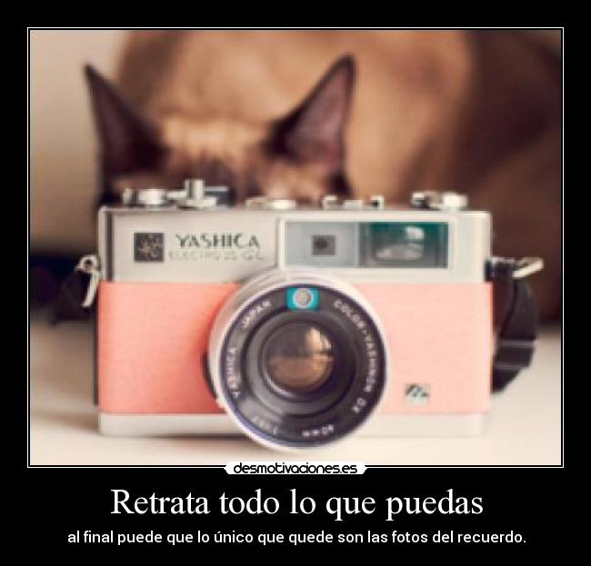 Retrata todo lo que puedas - 