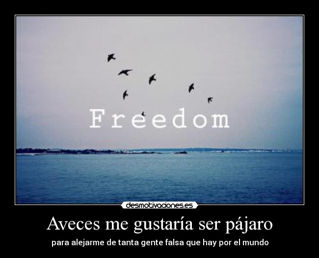 Aveces me gustaría ser pájaro -