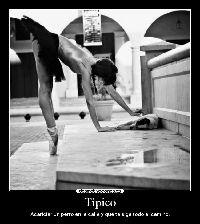 Típico - Acariciar un perro en la calle y que te siga todo el camino.