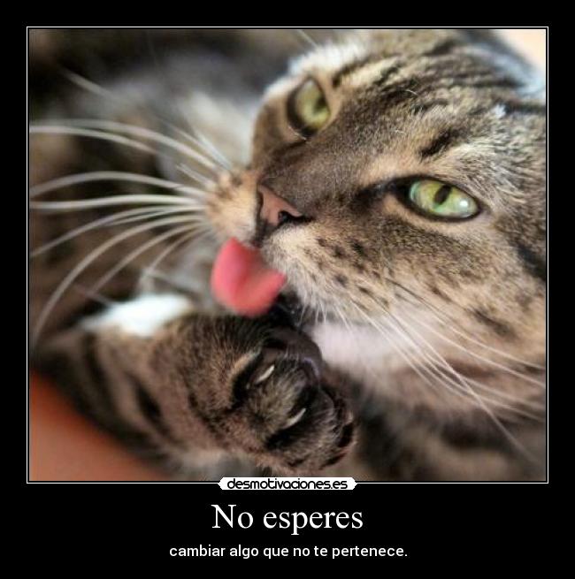 No esperes -