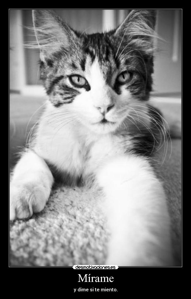 Mírame -