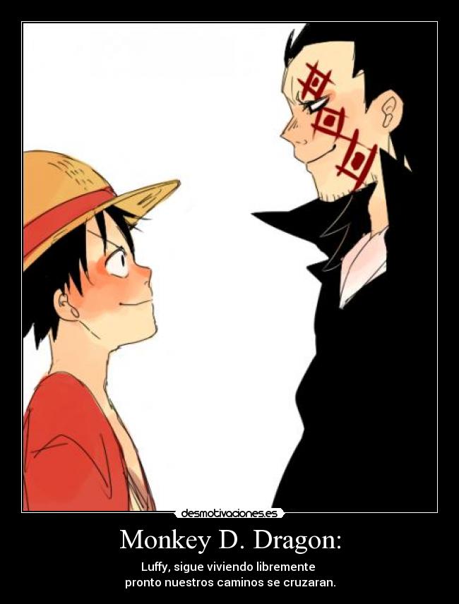 carteles anime one piece luffy padre desmotivaciones