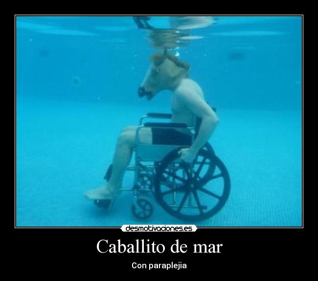 Caballito de mar - Con paraplejia