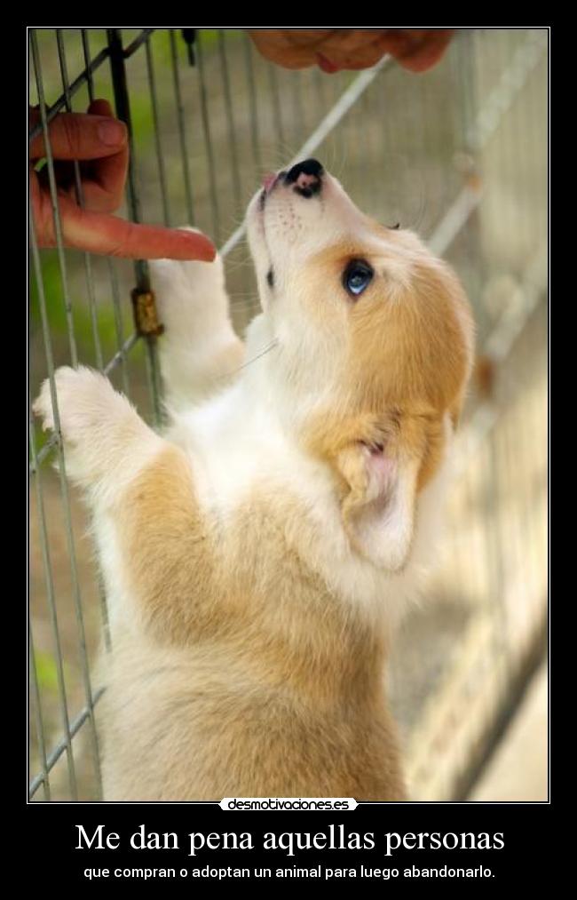 Me dan pena aquellas personas -