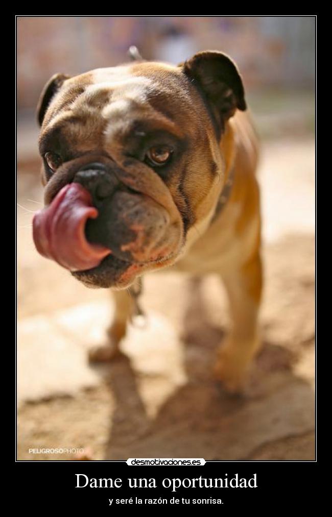 Dame una oportunidad -