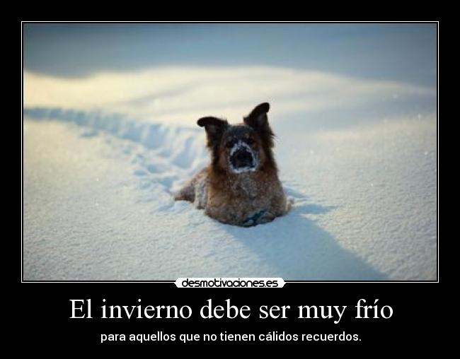 carteles odio las etiquetas se que poner desmotivaciones