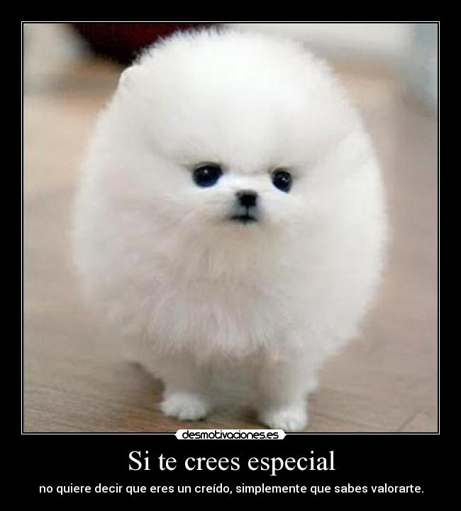Si te crees especial -