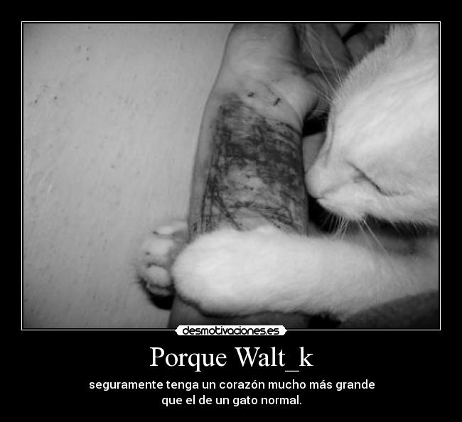 Porque Walt_k - 