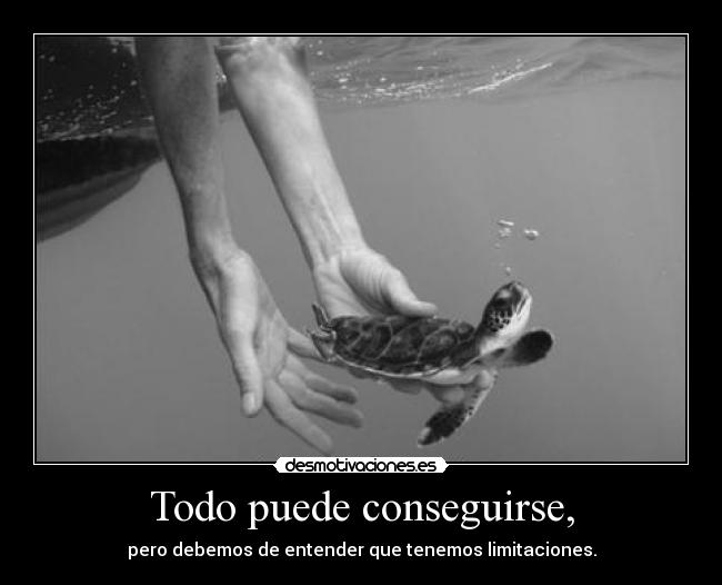 carteles angelofdestiny clandesplazado na kirch blackworld desmotivaciones