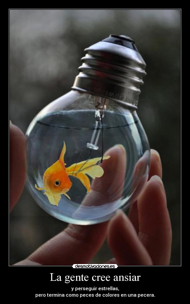 La gente cree ansiar - y perseguir estrellas,
pero termina como peces de colores en una pecera.