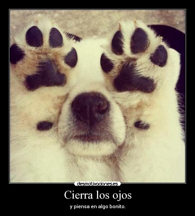 Cierra los ojos - 