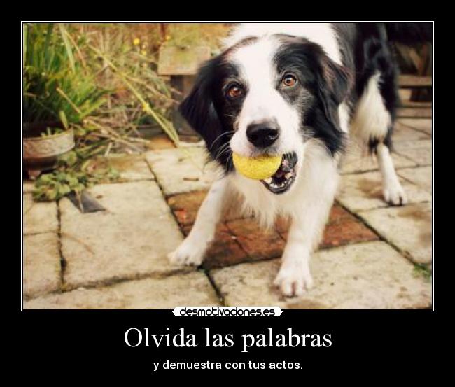 Olvida las palabras -