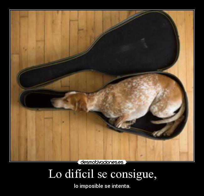 Lo difícil se consigue, - lo imposible se intenta.