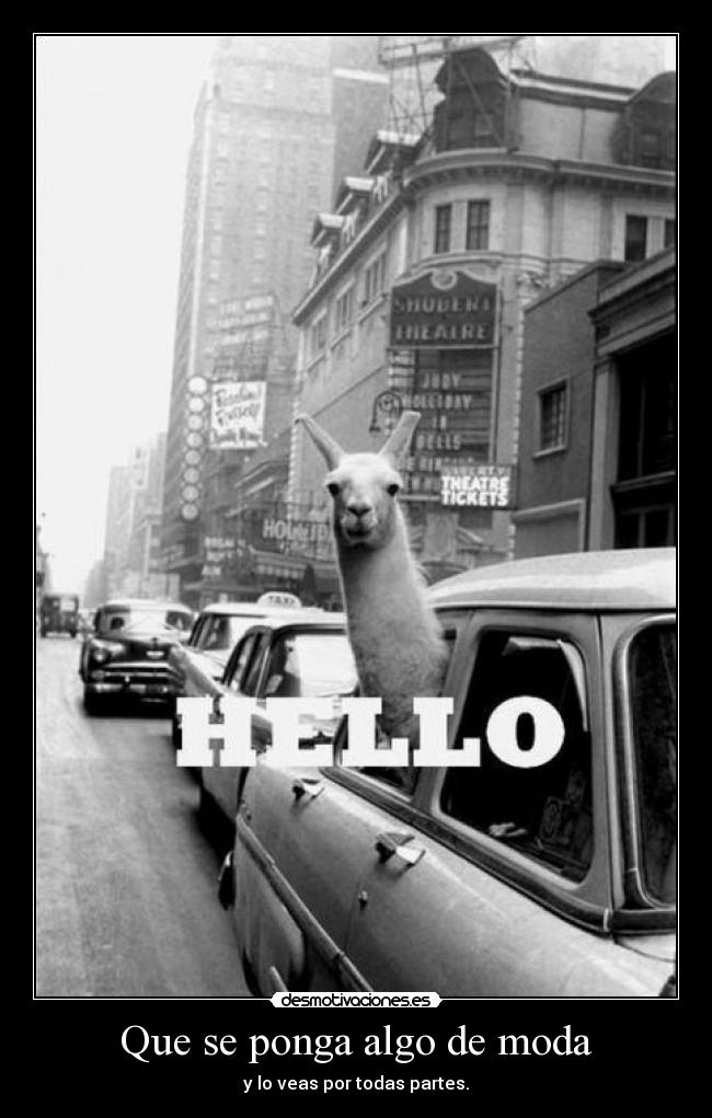 Que se ponga algo de moda -