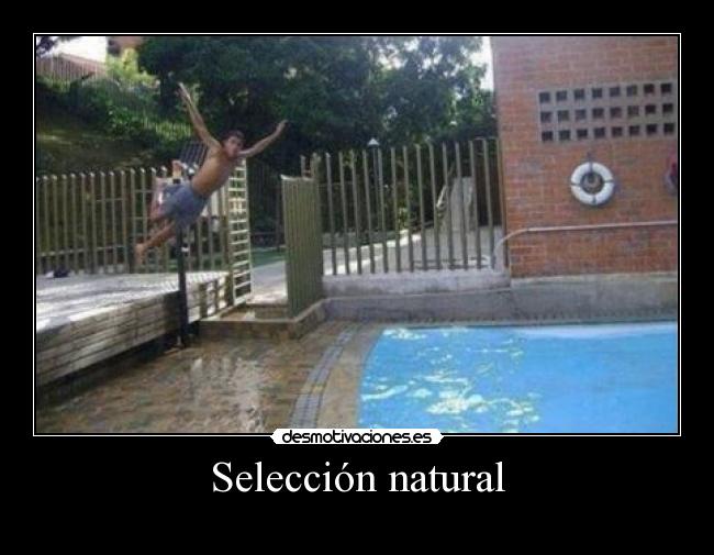 Selección natural -