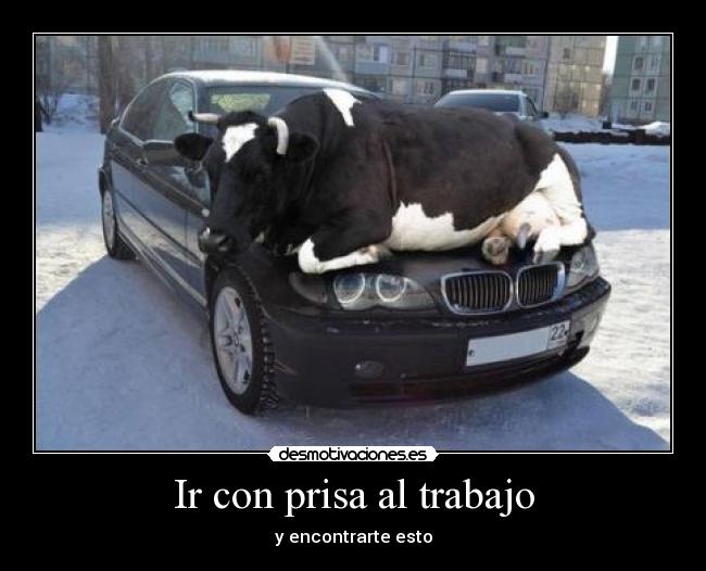 carteles trabajo trabajo vaca desmotivaciones