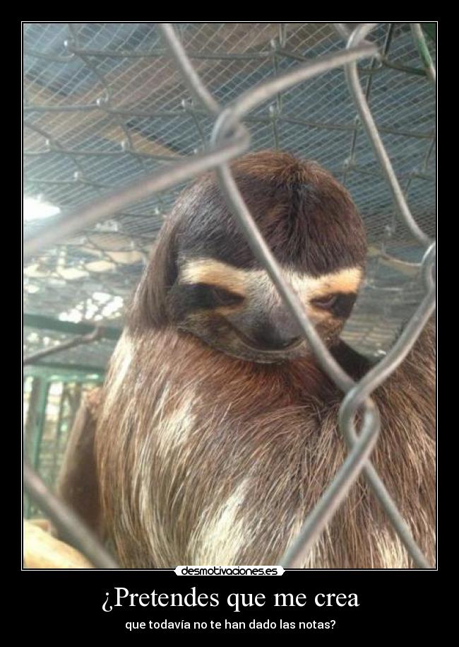 ¿Pretendes que me crea - 