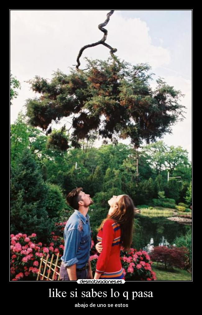 like si sabes lo q pasa - abajo de uno se estos