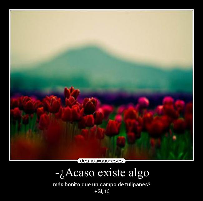 carteles godricvampire666 theinmortals ysiundiadesaparezcoquienharacartelesmalos unicorniosrosasyazules desmotivaciones