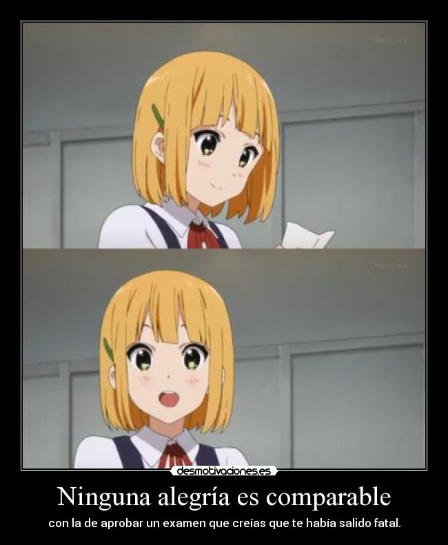 carteles alegria tamako market ahora vienen diciendo chorradas sobre que hay mas alegrias mejores bla bla bla desmotivaciones