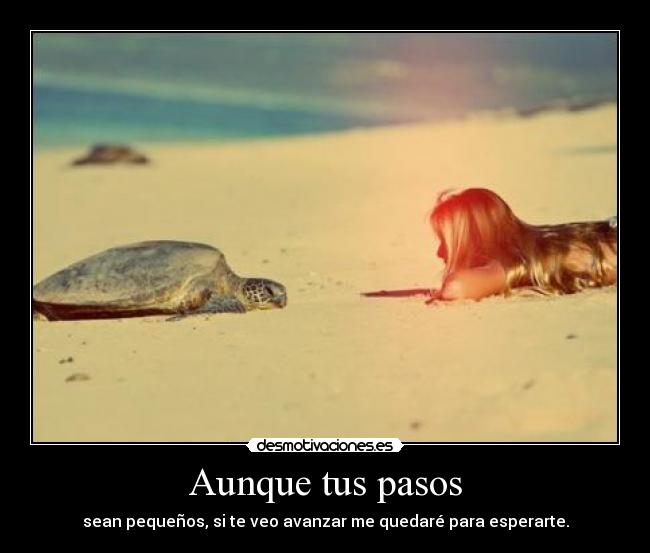 Aunque tus pasos - sean pequeños, si te veo avanzar me quedaré para esperarte.