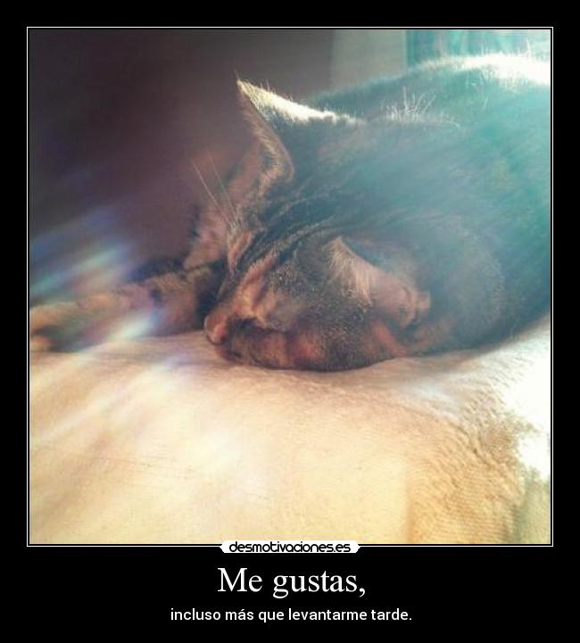 Me gustas, - incluso más que levantarme tarde.