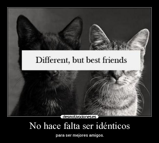No hace falta ser idénticos -