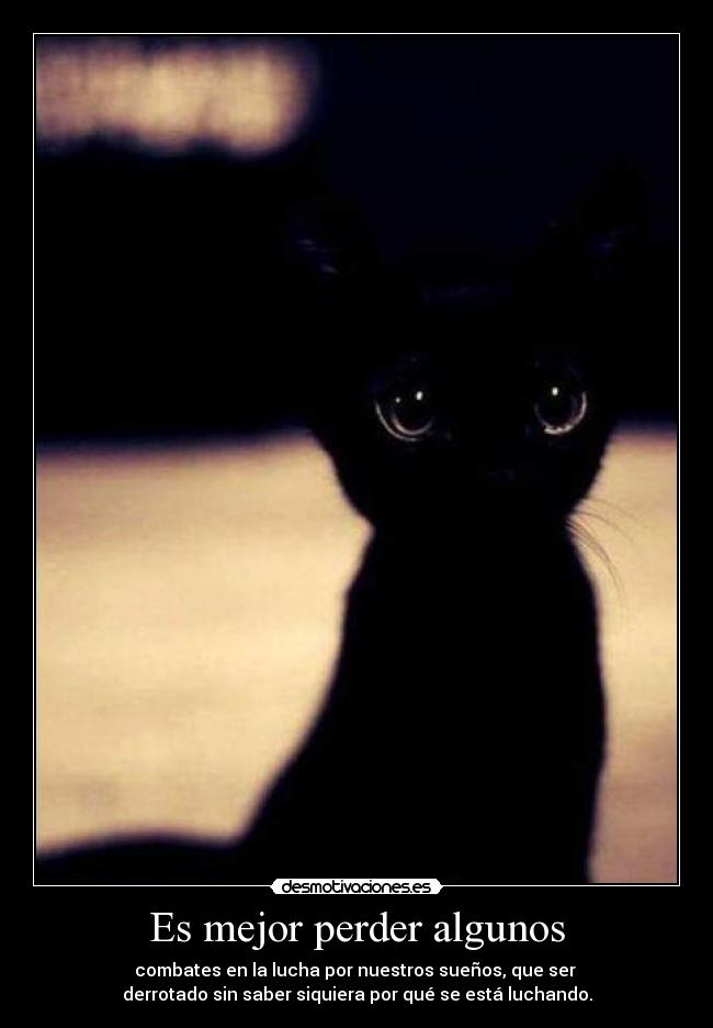 Es mejor perder algunos - combates en la lucha por nuestros sueños, que ser 
derrotado sin saber siquiera por qué se está luchando.