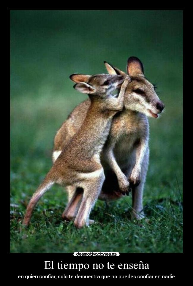 carteles estoy decepcionada desmotivaciones