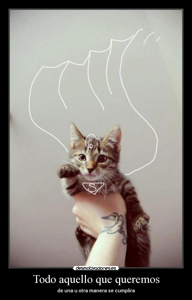 Todo aquello que queremos -