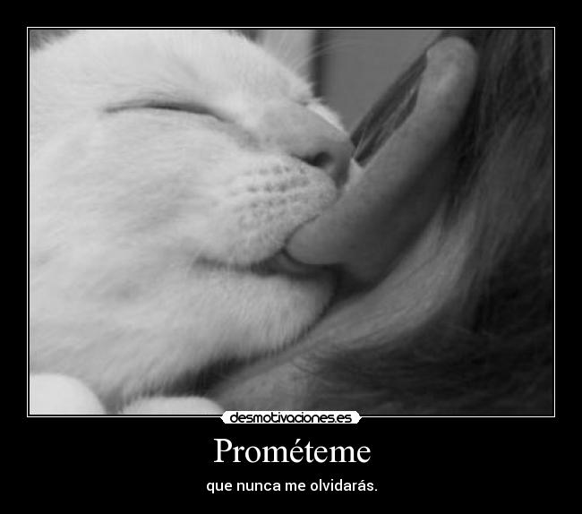 carteles dijeron desmotivaciones