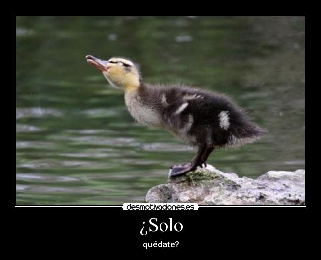 ¿Solo -