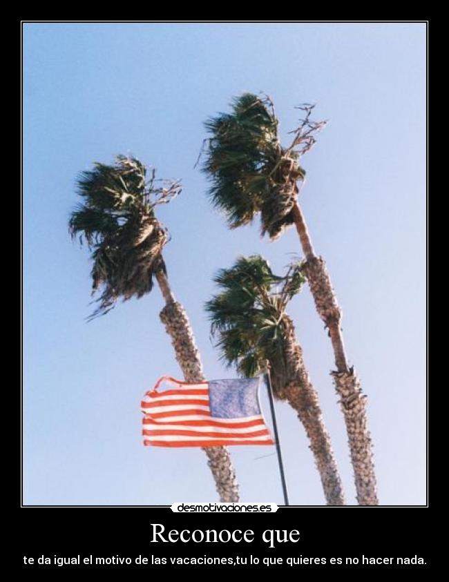 carteles vacaciones desmotivaciones
